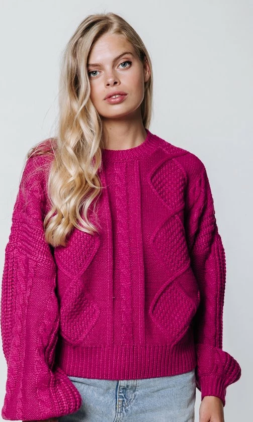 Coupon β¨ Colourful Rebel Olivia Cable Trui Paars Dames - Basic Fit - Katoen - M π 1 Coupon β¨ Colourful Rebel Olivia Cable Trui Paars Dames - Basic Fit - Katoen - M π