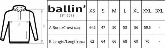 Goedkoopste β Ballin Est. 2013 - Dames Hoodies Panter Block Hoodie - Zwart - Maat L 𧨠3 Goedkoopste β Ballin Est. 2013 - Dames Hoodies Panter Block Hoodie - Zwart - Maat L 𧨠- Afbeelding 3