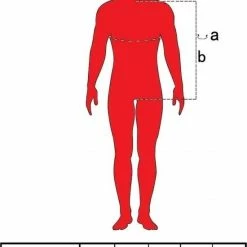 Beste Verkoop 🤩 Fruit Of The Loom Sweater Raglan Sweat Ronde Hals Paars Maat L ✨ -dameskleding Verkoop 550x765 4