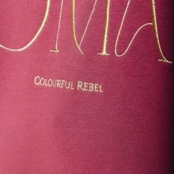 Goedkoopste 🌟 Colourful Rebel Moon Nomad Trui Roze Dames - Loose Fit - Katoen - M 🎁 -dameskleding Verkoop 550x824 86