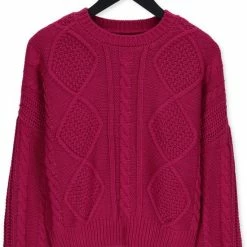 Coupon β¨ Colourful Rebel Olivia Cable Trui Paars Dames - Basic Fit - Katoen - M π 15 Coupon β¨ Colourful Rebel Olivia Cable Trui Paars Dames - Basic Fit - Katoen - M π -dameskleding Verkoop 550x827 3